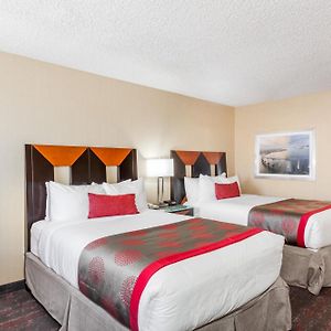 Double Room Two Double Beds Non-Smoking